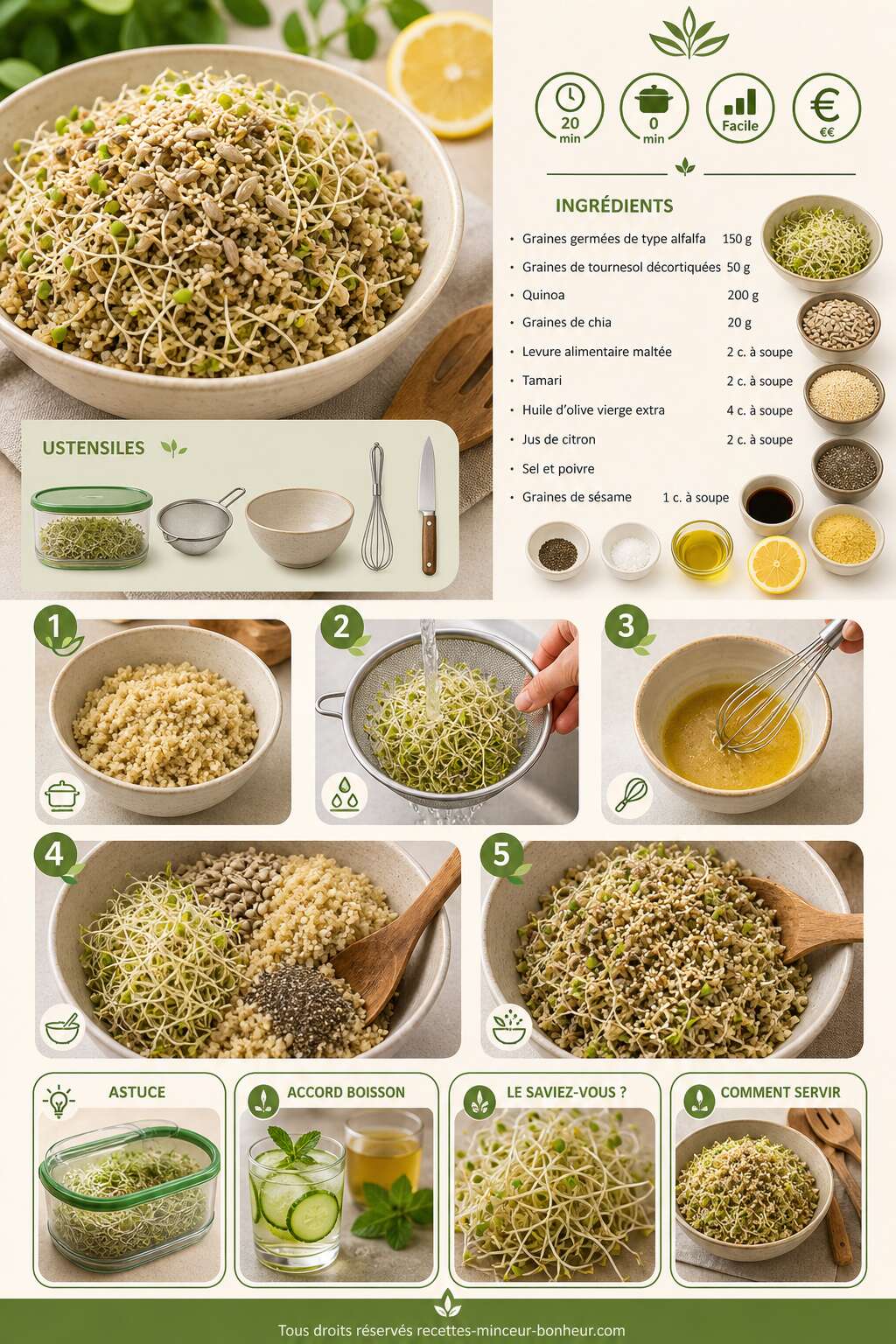 Fiche recette Salade détox aux graines germées : recette vegan facile et saine Fiche recette Salade détox aux graines germées : recette vegan facile et saine