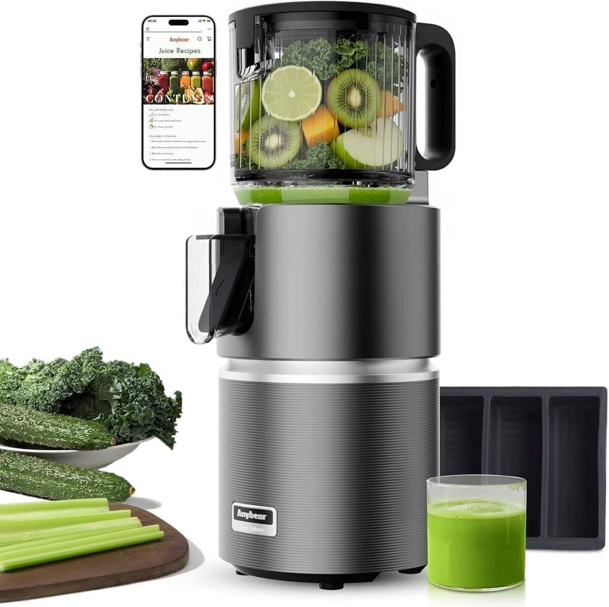 Test de la centrifugeuse Anybear 350W à goulotte large