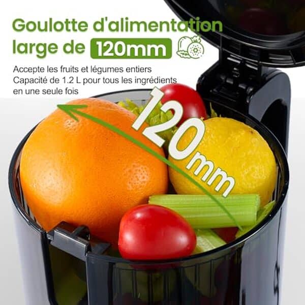 Découvrez notre test détaillé du ventray extracteur de jus 250W : rendement optimal, efficacité énergétique et résultats bluffants pour vos jus frais.